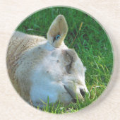 羊 コースター (正面)