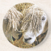 羊 コースター (正面)