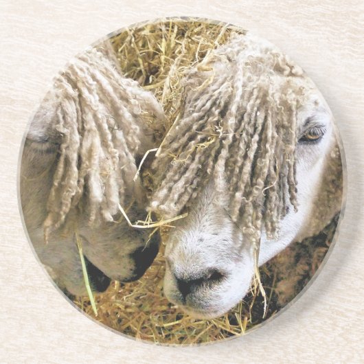 羊 コースター (正面)