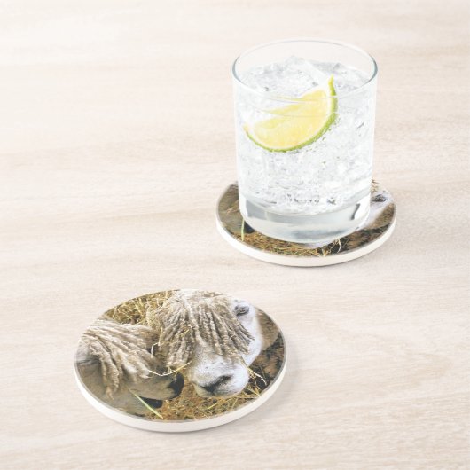 羊 コースター (側面)