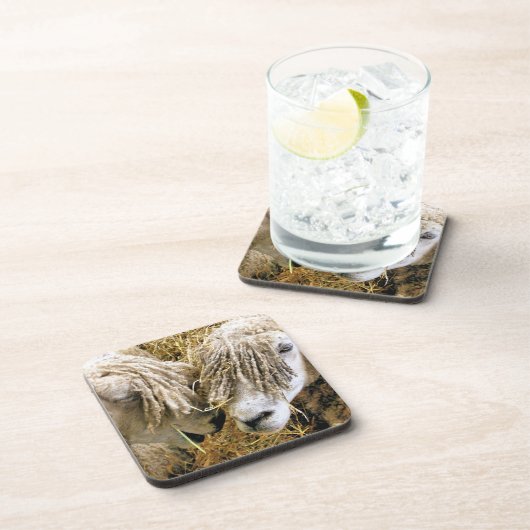 羊 コースター (右側)