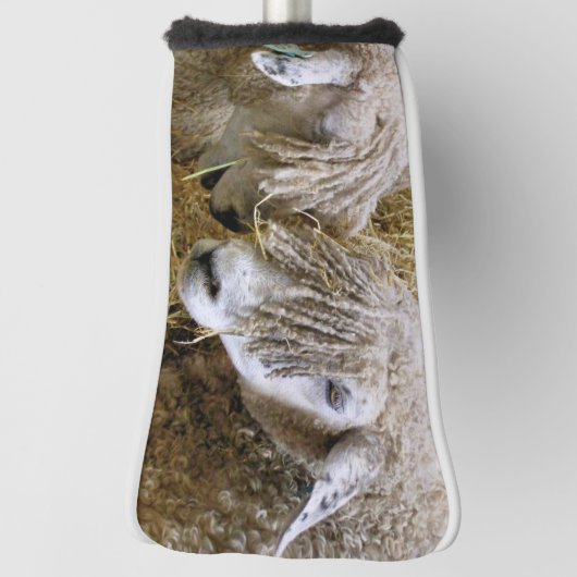 羊 ゴルフヘッドカバー (回転90)