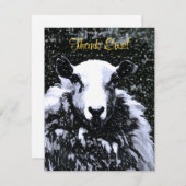 羊 サンキューカード (正面/裏面)