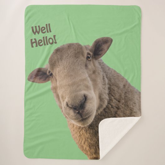 羊 シェルパブランケット (正面)