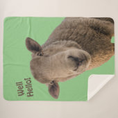 羊 シェルパブランケット (正面(横))