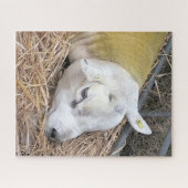 羊 ジグソーパズル (横)