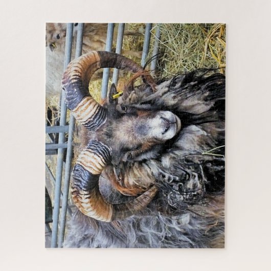 羊 ジグソーパズル (縦)