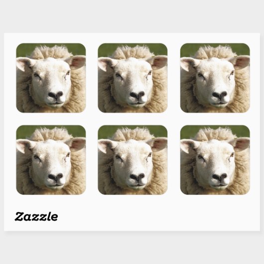 羊 スクエアシール (シート)