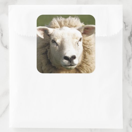 羊 スクエアシール (バッグ)