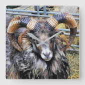 羊 スクエア壁時計 (正面)