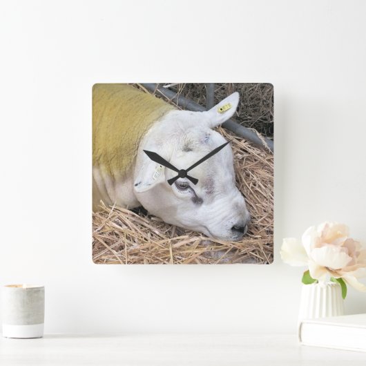 羊 スクエア壁時計 (ホーム)
