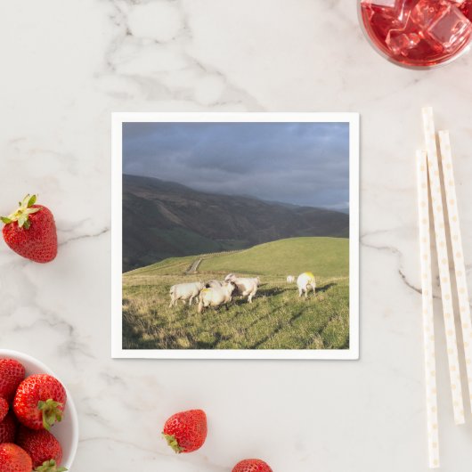 羊 スタンダードカクテルナプキン (インサイチュ)