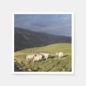 羊 スタンダードカクテルナプキン (正面)