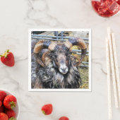 羊 スタンダードカクテルナプキン (インサイチュ)