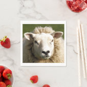 羊 スタンダードカクテルナプキン (インサイチュ)