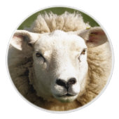 羊 セラミックノブ (正面)