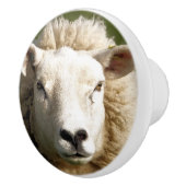 羊 セラミックノブ (右)