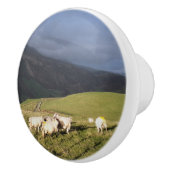 羊 セラミックノブ (右)