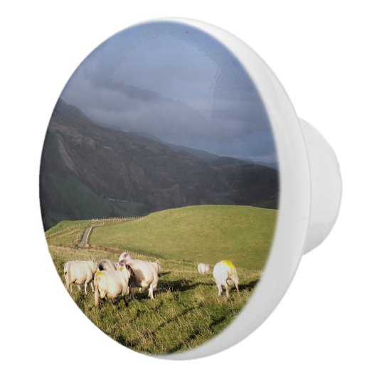 羊 セラミックノブ (右)