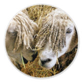 羊 セラミックノブ (正面)