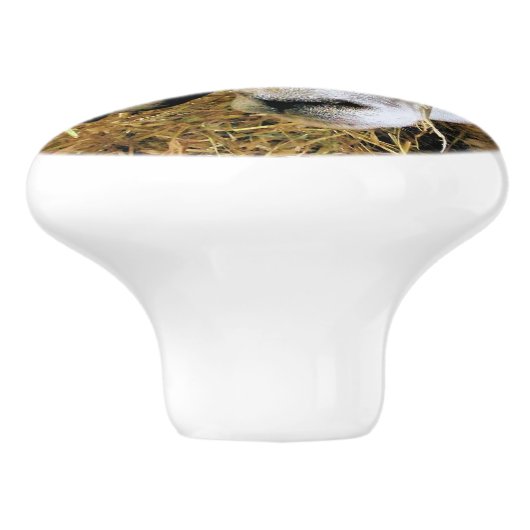 羊 セラミックノブ (側面)