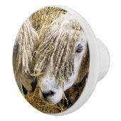 羊 セラミックノブ (右)