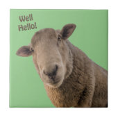 羊 タイル (正面)