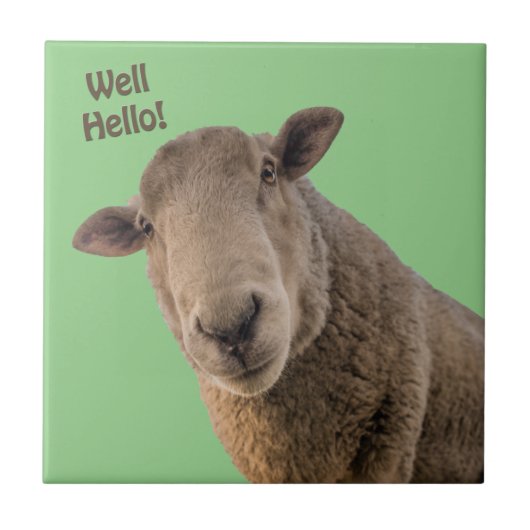 羊 タイル (正面)