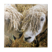 羊 タイル (正面)