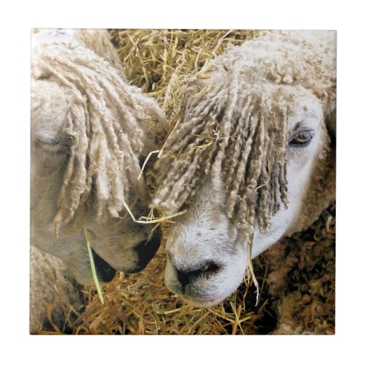 羊 タイル (正面)