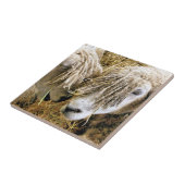 羊 タイル (側面)