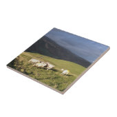 羊 タイル (側面)