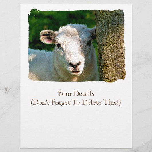 羊 チラシ (正面)