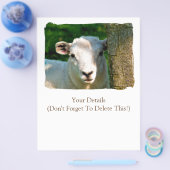 羊 チラシ (シングル)