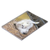 羊 ノートブック (左側)