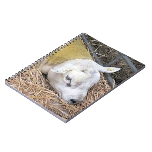 羊 ノートブック (左側)