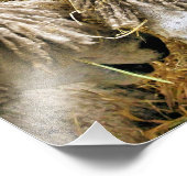 羊 フォトプリント (角)