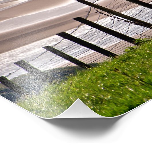 羊 フォトプリント            (角)