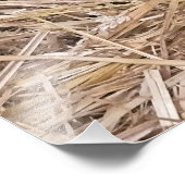 羊 フォトプリント            (角)