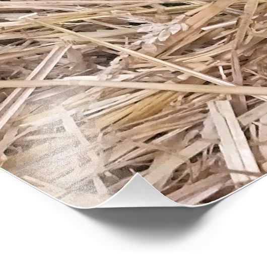 羊 フォトプリント            (角)