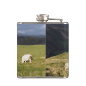 羊 フラスク (裏面)