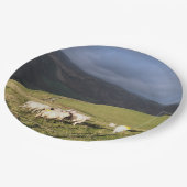 羊 ペーパープレート (アングル)