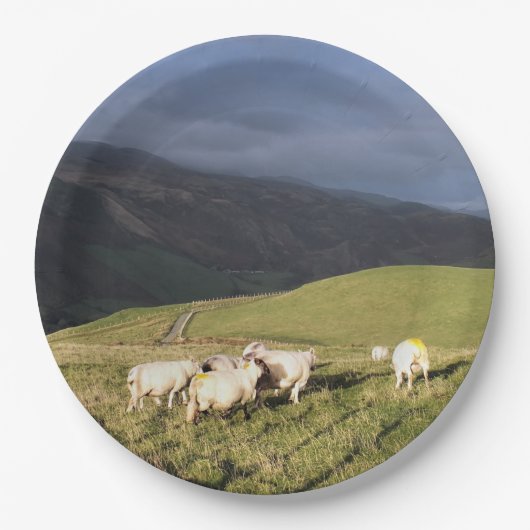 羊 ペーパープレート (正面)