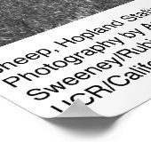 羊、ホープランド駅、by Ansel Adams ポスター (角)