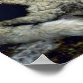 羊 ポスター (角)