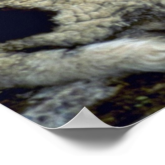 羊 ポスター (角)