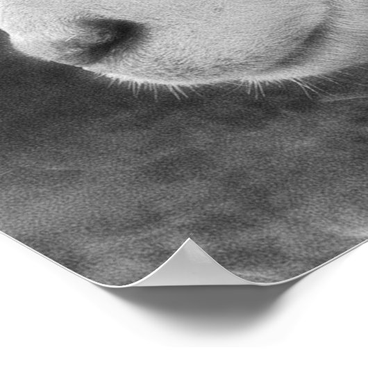 羊 ポスター (角)