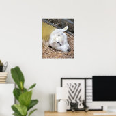 羊 ポスター (ホームオフィス)