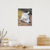 羊 ポスター (キッチン)