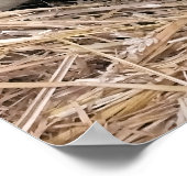 羊 ポスター (角)